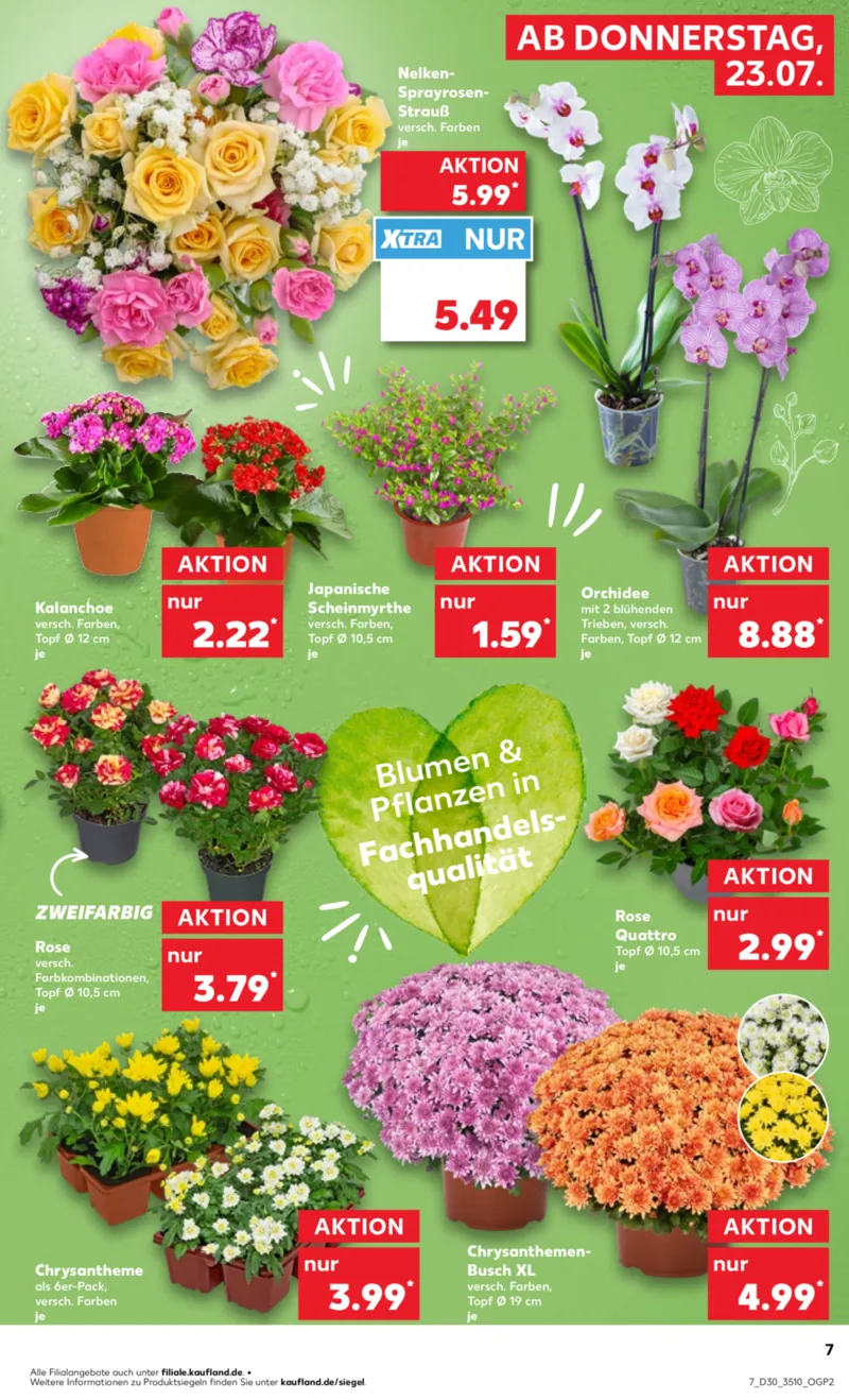 Kaufland Prospekt vom 23.07.2026, Seite 7