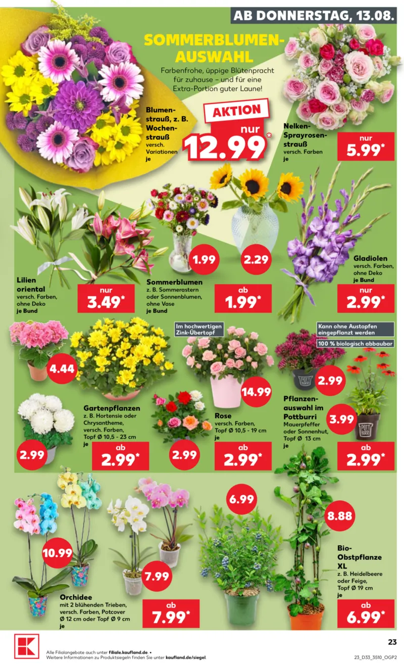 Kaufland Prospekt vom 13.08.2026, Seite 23
