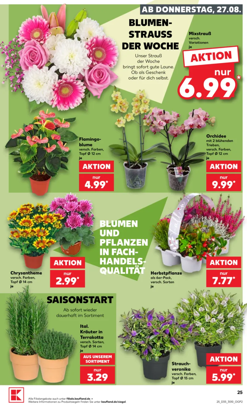 Kaufland Prospekt vom 27.08.2026, Seite 25