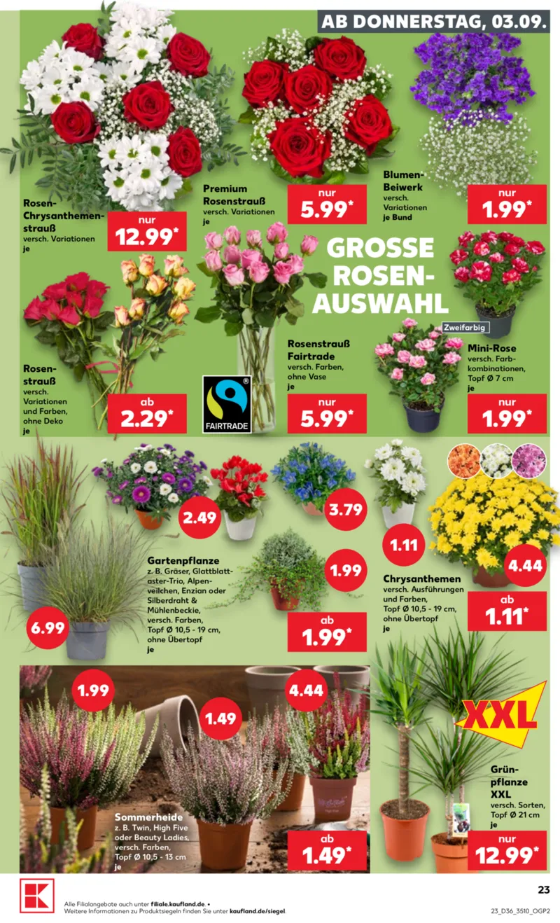 Kaufland Prospekt vom 03.09.2026, Seite 23