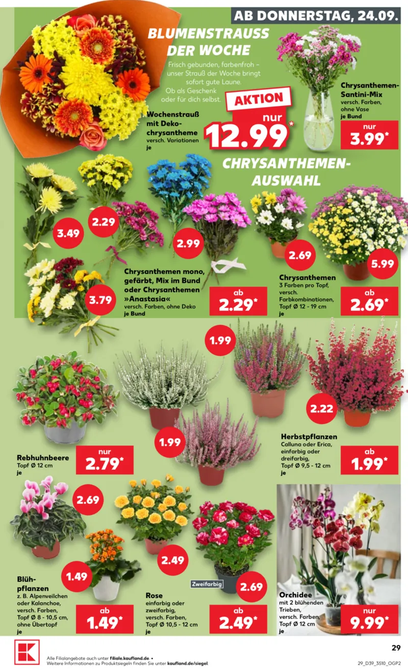 Kaufland Prospekt vom 24.09.2026, Seite 29