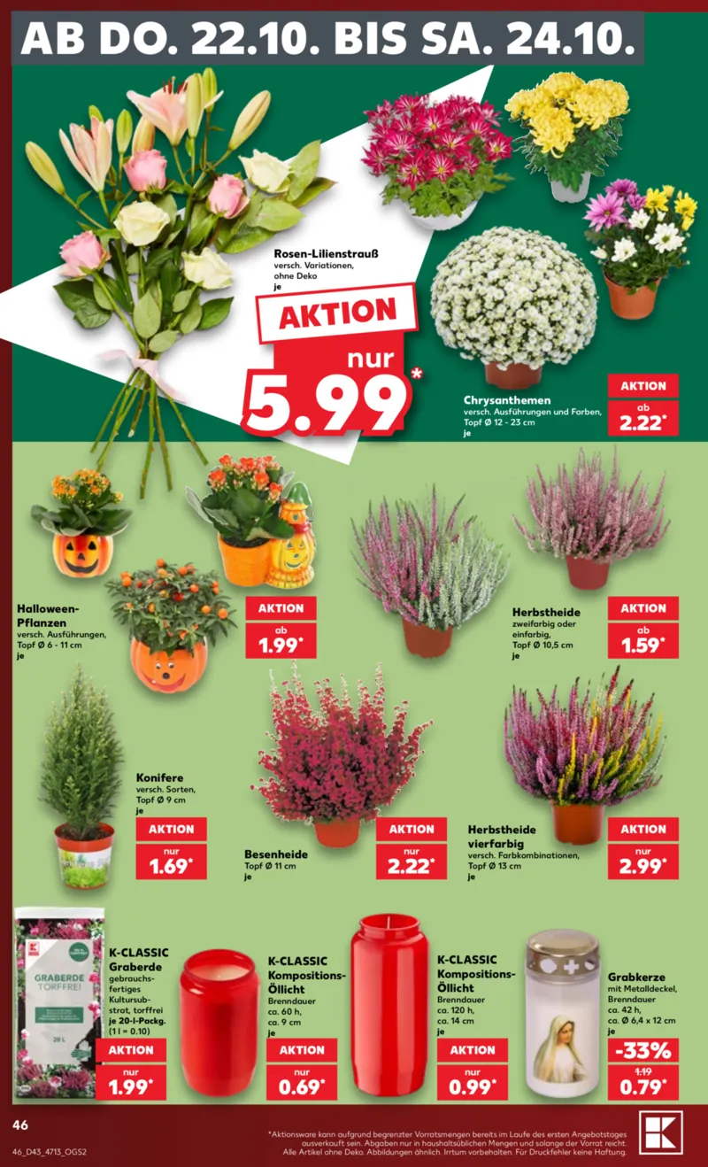 Kaufland Prospekt vom 19.10.2026, Seite 46