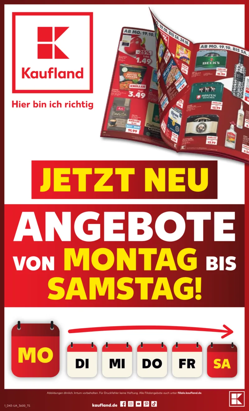 Kaufland Prospekt vom 19.10.2026, Seite 65