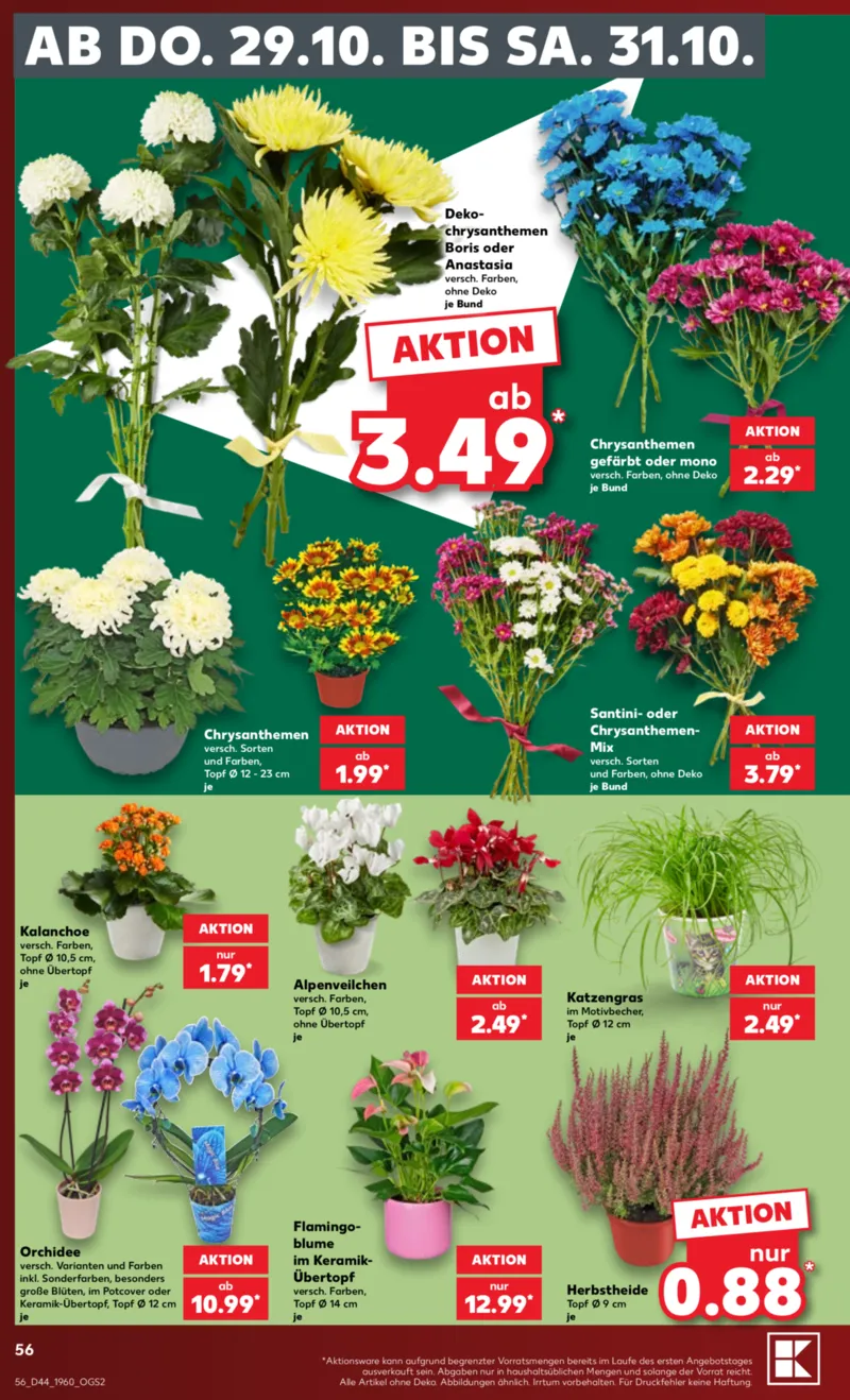 Kaufland Prospekt vom 26.10.2026, Seite 56