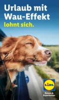 Lidl-Reisen Prospekt vom 29.07.2026
