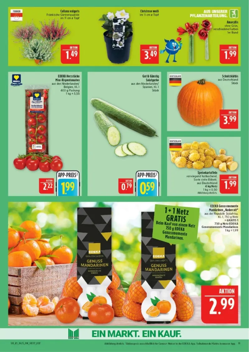 Marktkauf Prospekt vom 20.10.2025, Seite 11 Marktkauf Prospekt vom 20.10.2025, Seite 11