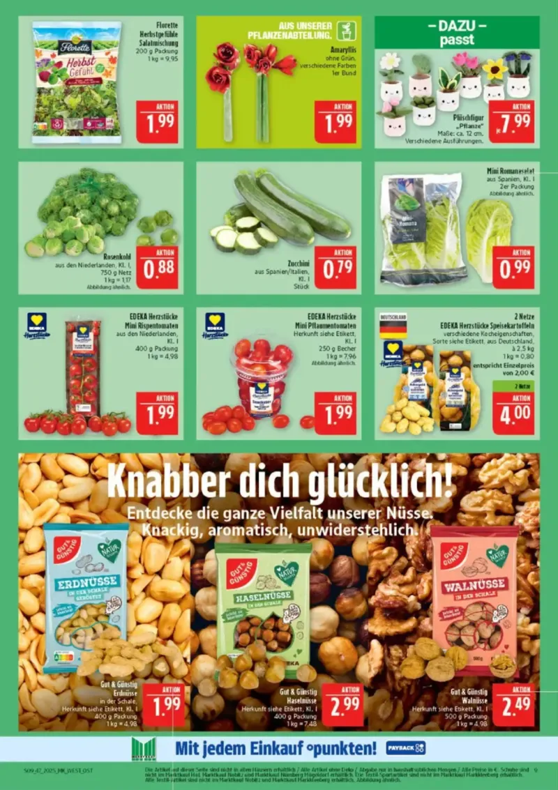 Marktkauf Prospekt vom 17.11.2025, Seite 11