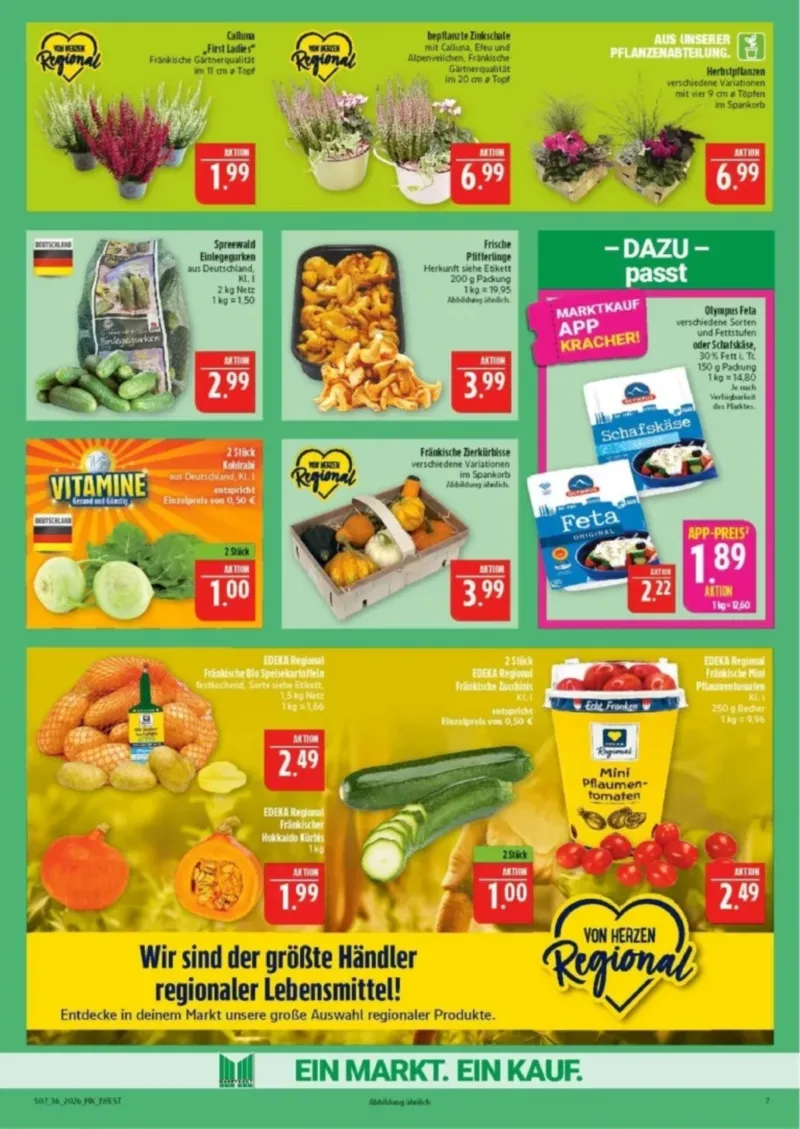 Marktkauf Prospekt vom 31.08.2026, Seite 7