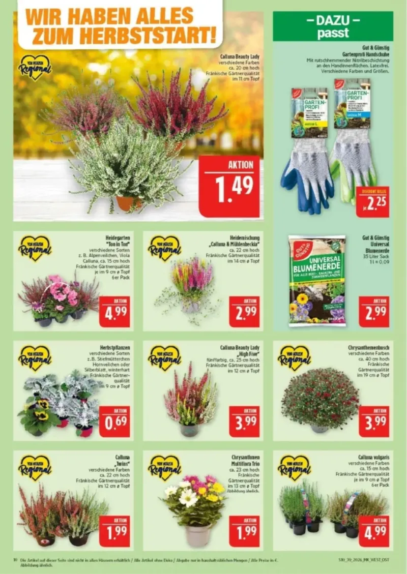 Marktkauf Prospekt vom 21.09.2026, Seite 10