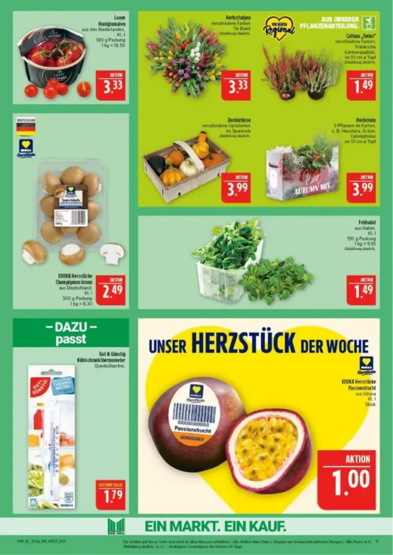 Marktkauf Prospekt vom 12.10.2026, Seite 9