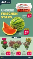 NETTO Supermarkt Prospekt vom 25.08.2025