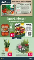 NETTO Supermarkt Prospekt vom 15.09.2025