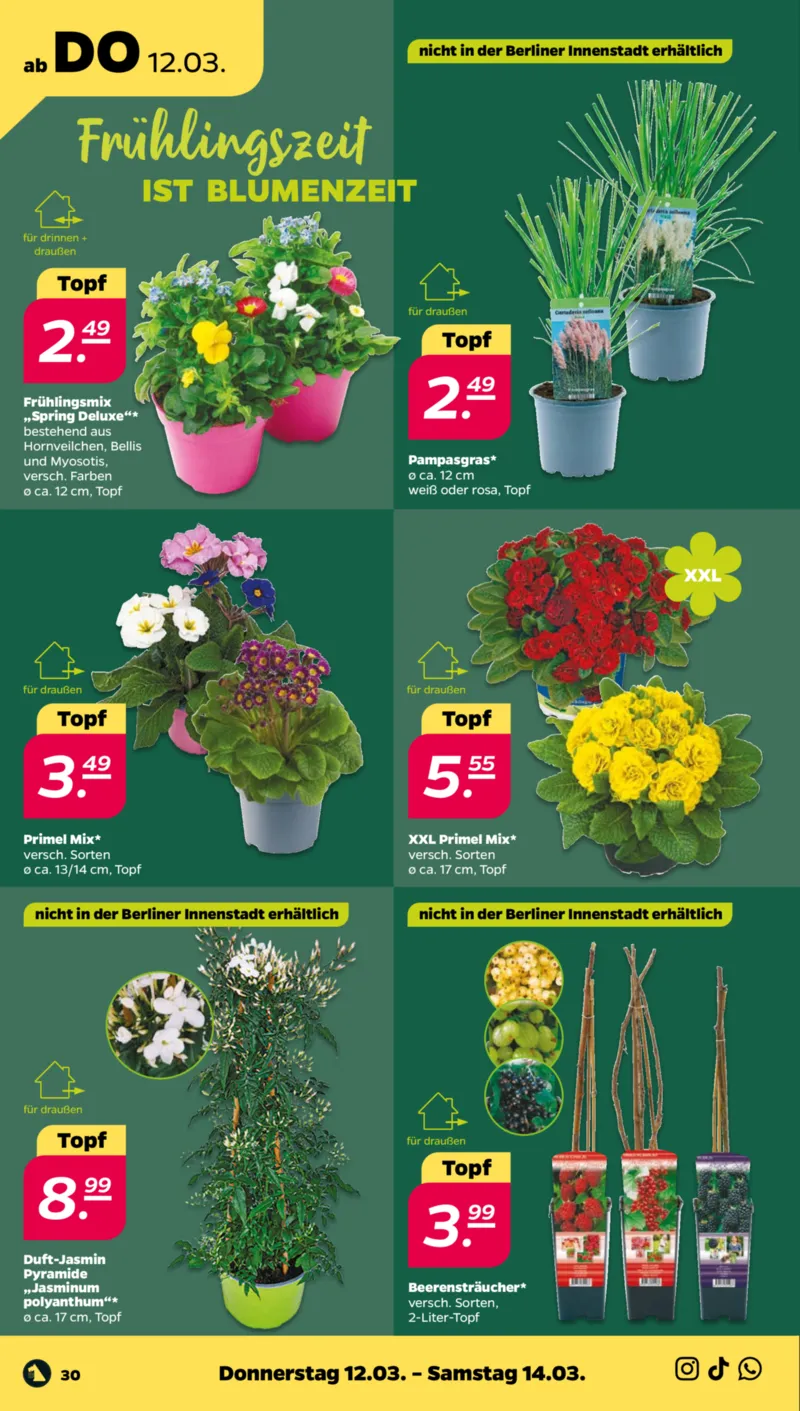 NETTO Supermarkt Prospekt vom 09.03.2026, Seite 36