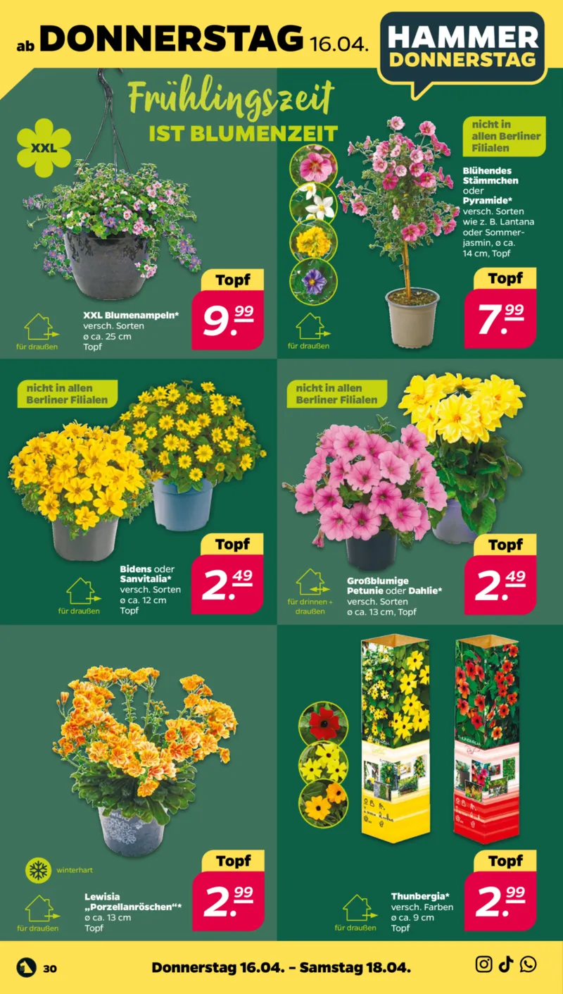 NETTO Supermarkt Prospekt vom 13.04.2026, Seite 34