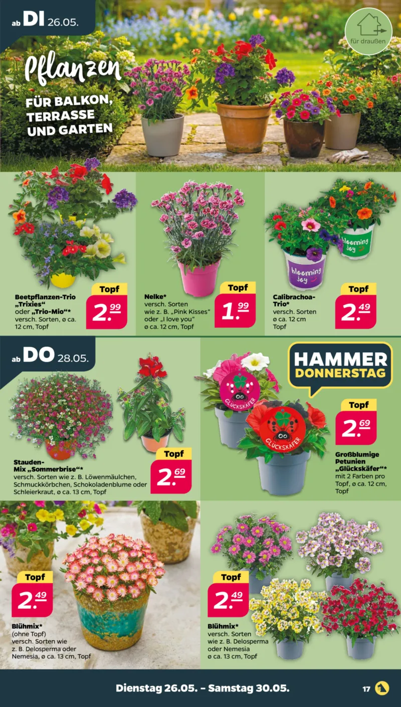 NETTO Supermarkt Prospekt vom 25.05.2026, Seite 19