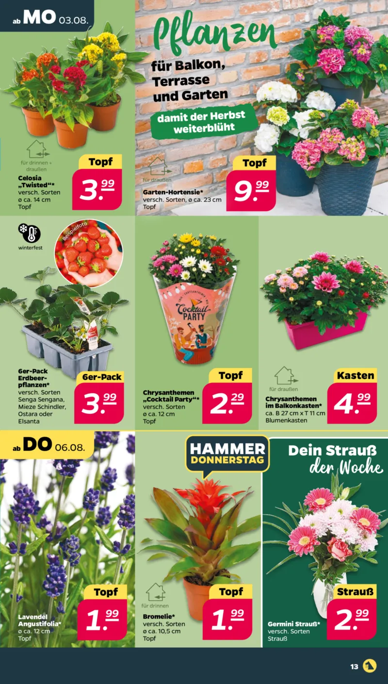 NETTO Supermarkt Prospekt vom 03.08.2026, Seite 15