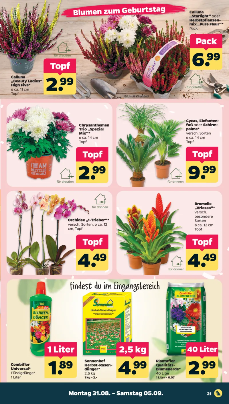 NETTO Supermarkt Prospekt vom 31.08.2026, Seite 23