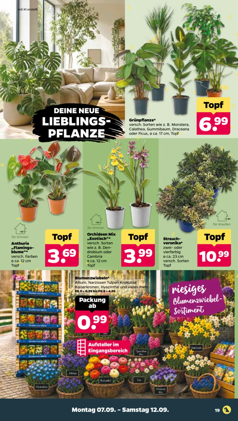 NETTO Supermarkt Prospekt vom 07.09.2026, Seite 21