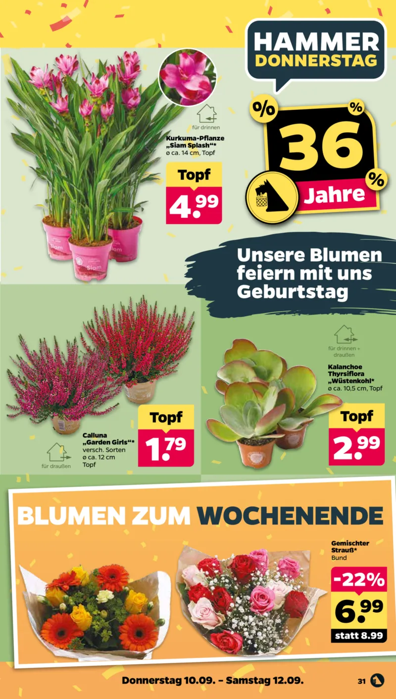 NETTO Supermarkt Prospekt vom 07.09.2026, Seite 35