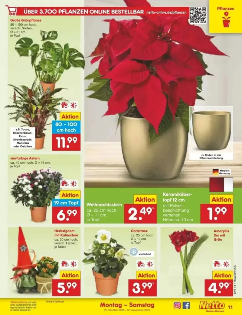 Netto Marken-Discount Prospekt vom 27.10.2025, Seite 13