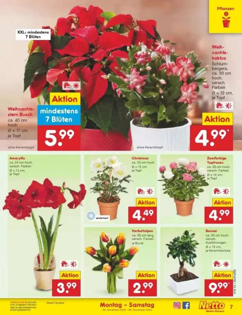 Netto Marken-Discount Prospekt vom 03.11.2025, Seite 7