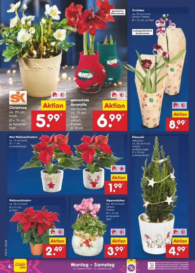 Netto Marken-Discount Prospekt vom 08.12.2025, Seite 6