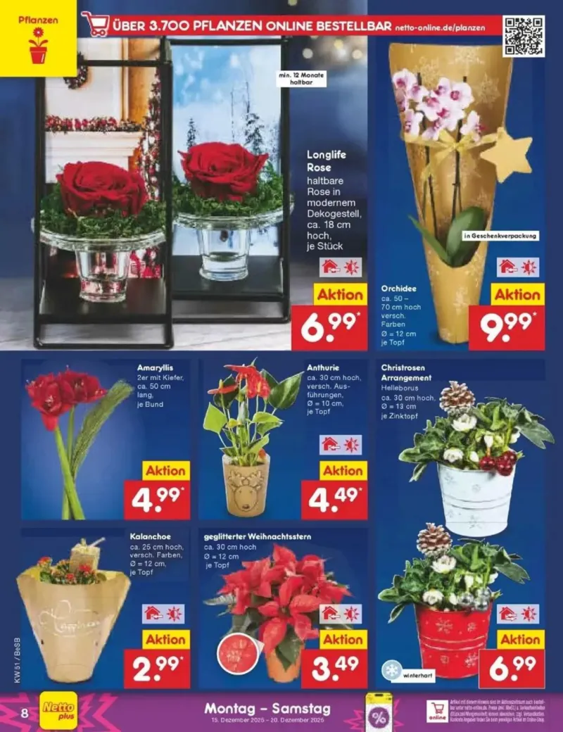 Netto Marken-Discount Prospekt vom 15.12.2025, Seite 8