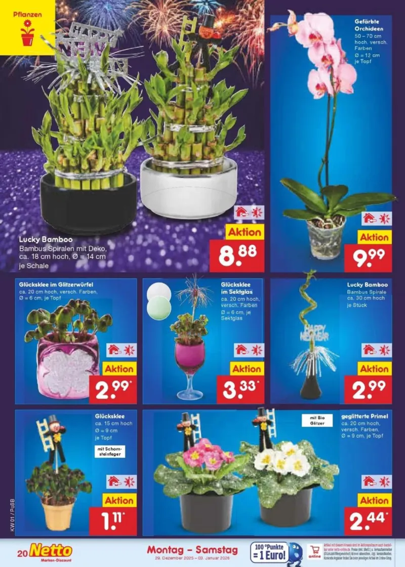 Netto Marken-Discount Prospekt vom 29.12.2025, Seite 30