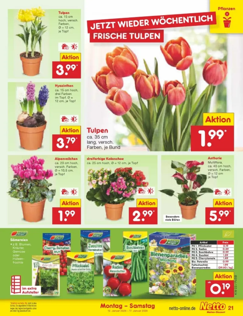 Netto Marken-Discount Prospekt vom 12.01.2026, Seite 21