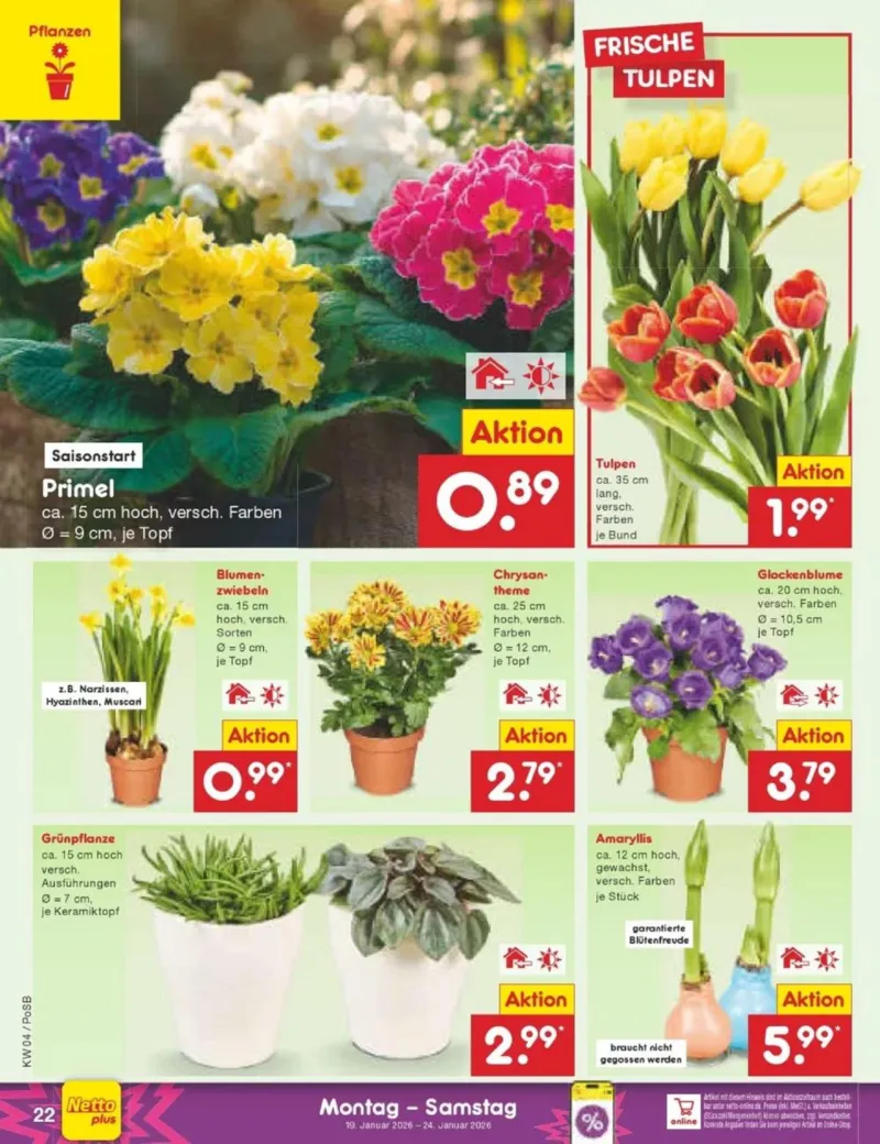 Netto Marken-Discount Prospekt vom 19.01.2026, Seite 22