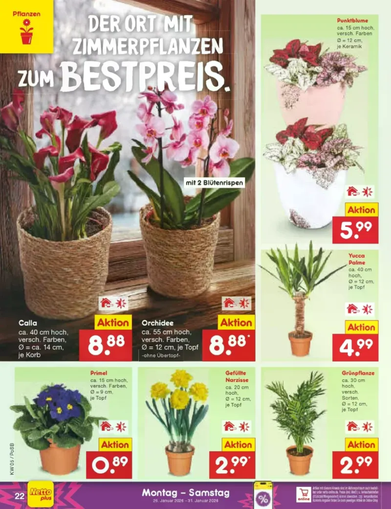 Netto Marken-Discount Prospekt vom 26.01.2026, Seite 22