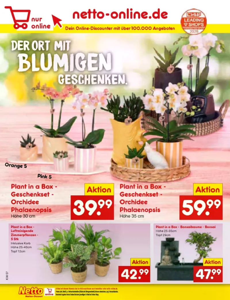 Netto Marken-Discount Prospekt vom 09.02.2026, Seite 49