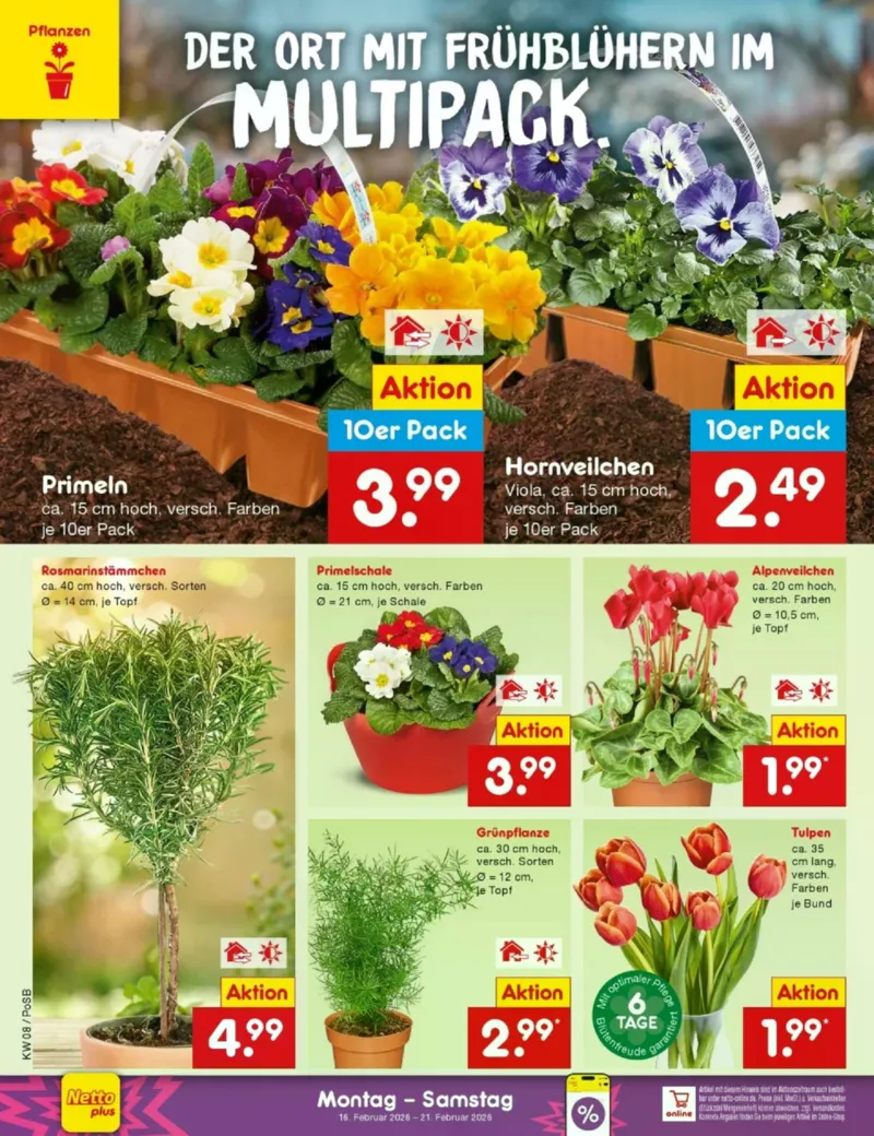 Netto Marken-Discount Prospekt vom 16.02.2026, Seite 6