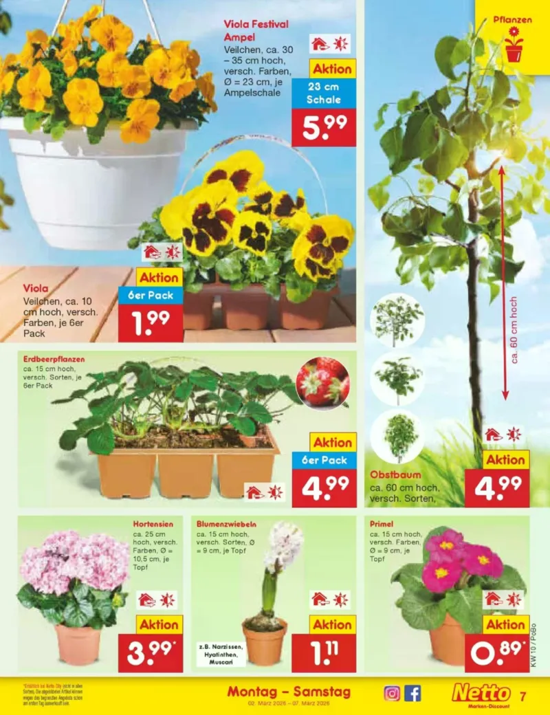 Netto Marken-Discount Prospekt vom 02.03.2026, Seite 7