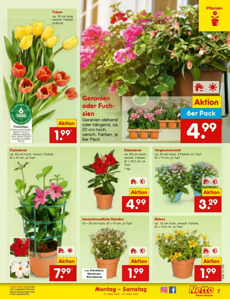 Netto Marken-Discount Prospekt vom 23.03.2026, Seite 7