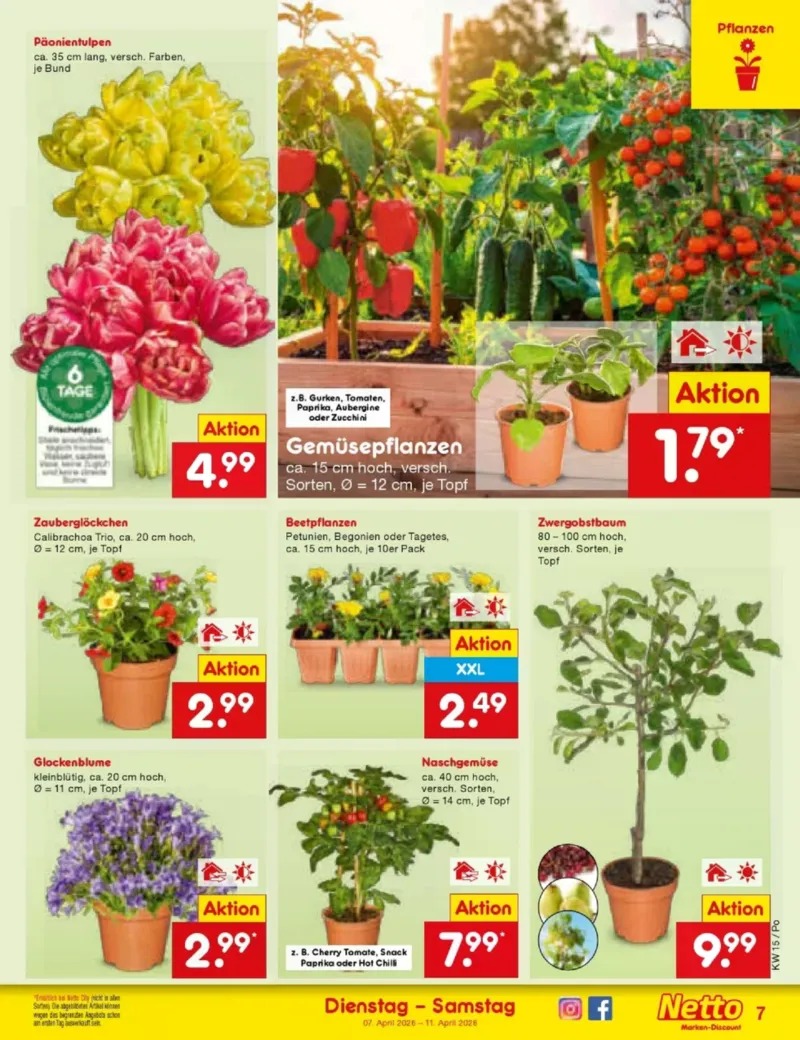 Netto Marken-Discount Prospekt vom 07.04.2026, Seite 9