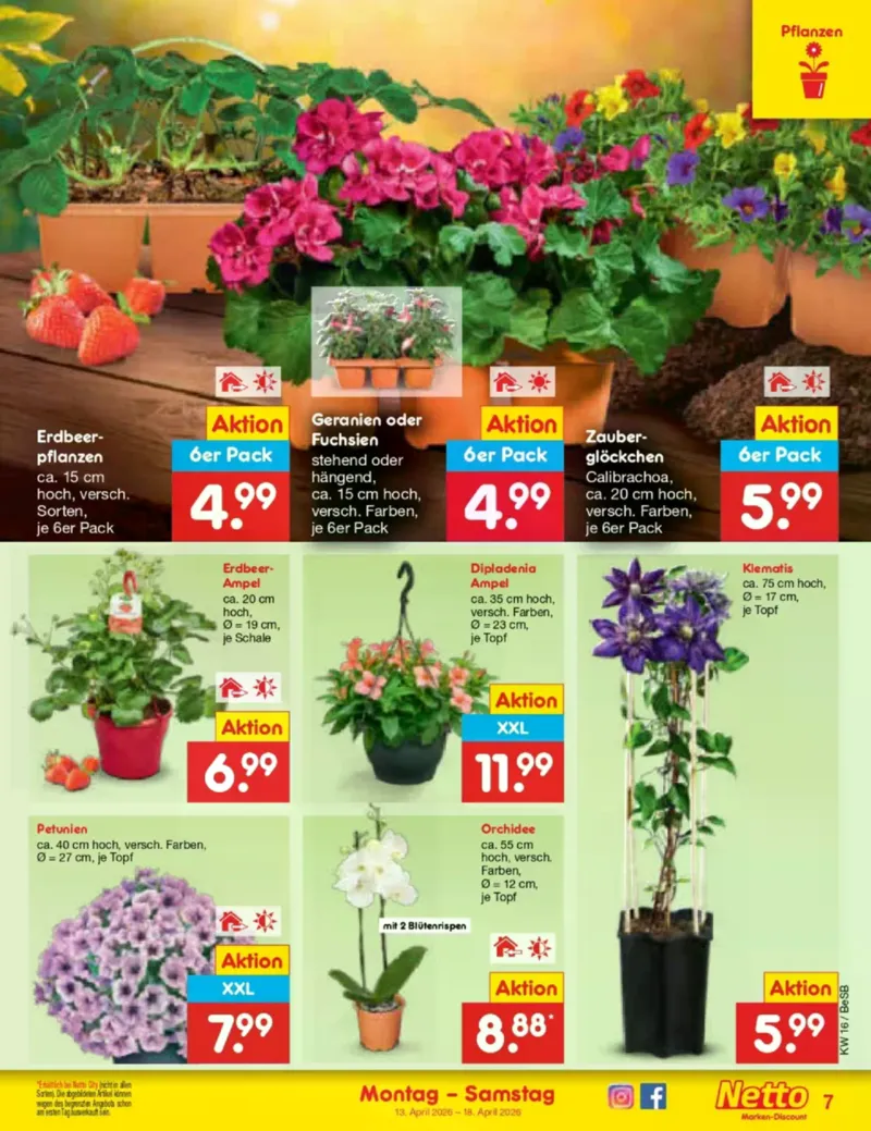 Netto Marken-Discount Prospekt vom 13.04.2026, Seite 9