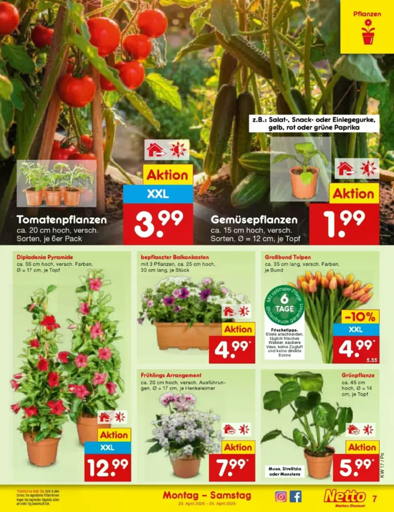 Netto Marken-Discount Prospekt vom 20.04.2026, Seite 9