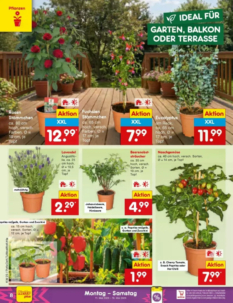 Netto Marken-Discount Prospekt vom 11.05.2026, Seite 10