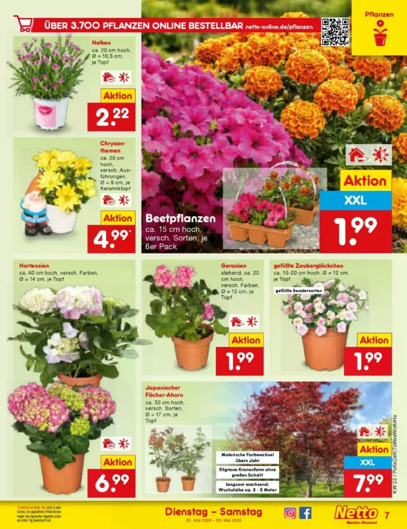 Netto Marken-Discount Prospekt vom 26.05.2026, Seite 9