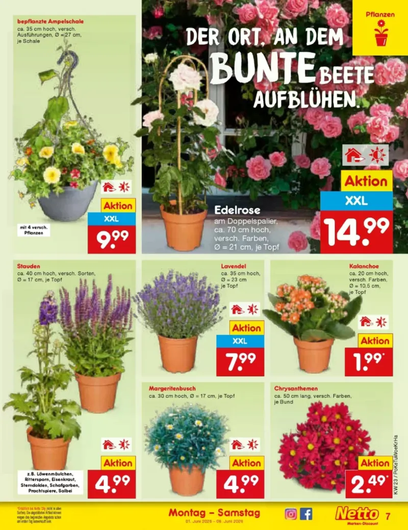 Netto Marken-Discount Prospekt vom 01.06.2026, Seite 7