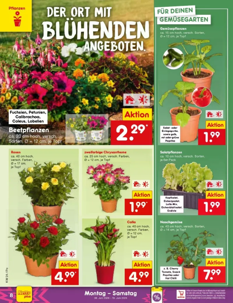 Netto Marken-Discount Prospekt vom 08.06.2026, Seite 12