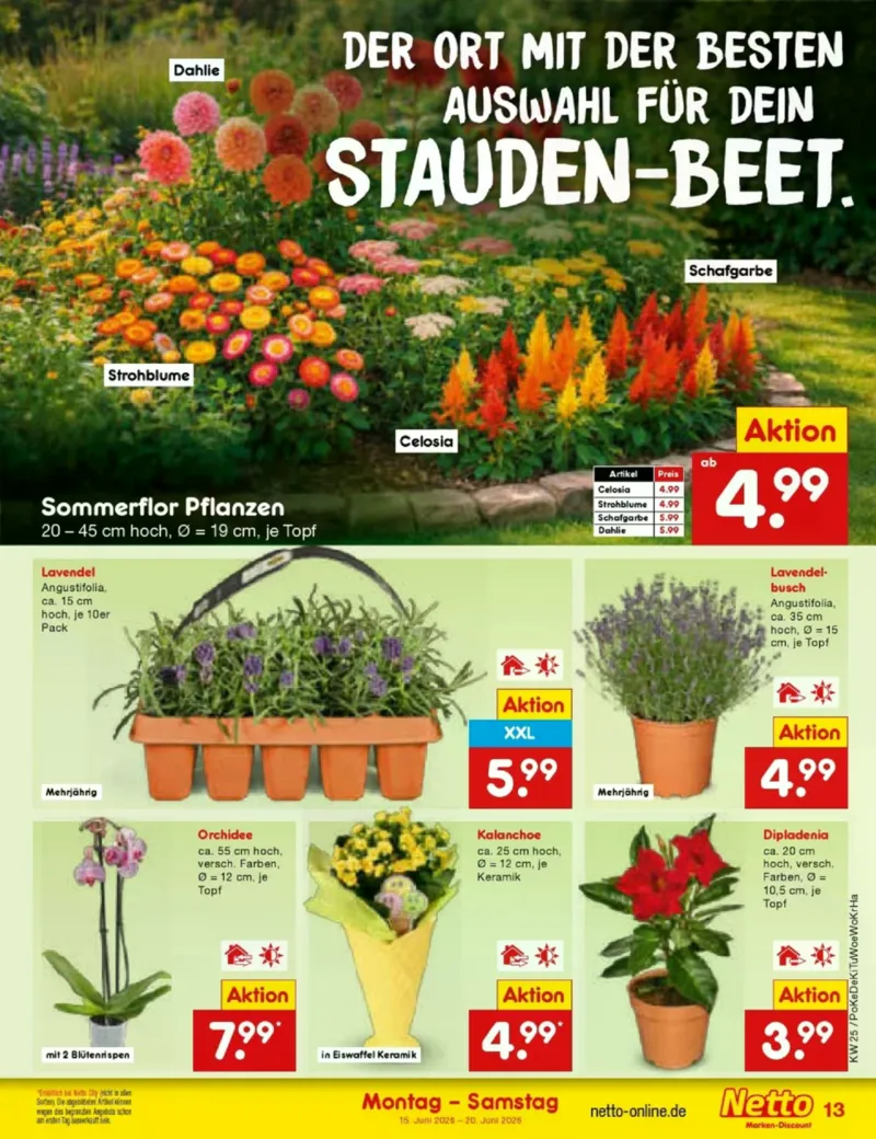 Netto Marken-Discount Prospekt vom 15.06.2026, Seite 17