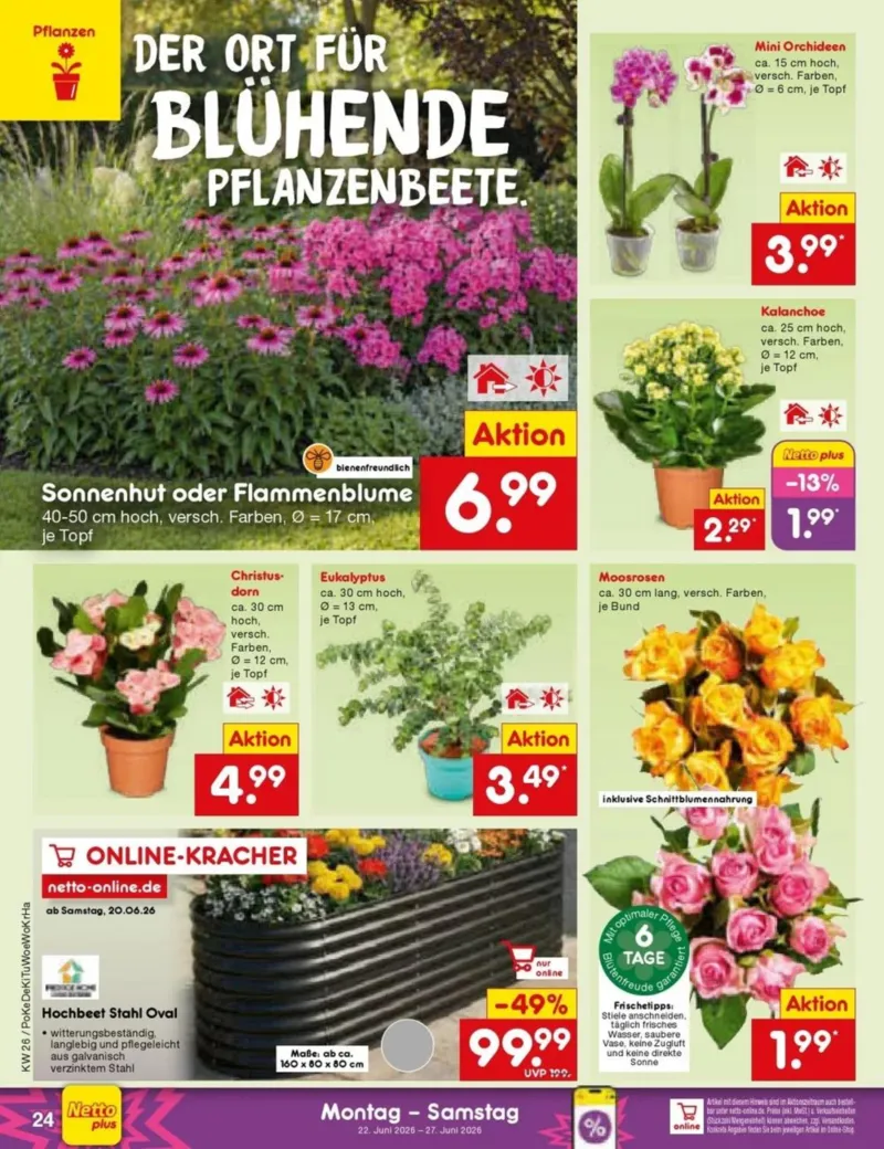 Netto Marken-Discount Prospekt vom 22.06.2026, Seite 34