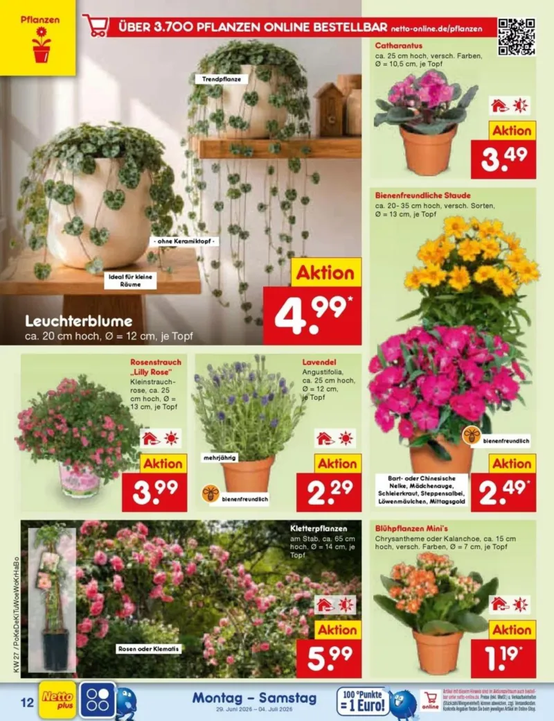 Netto Marken-Discount Prospekt vom 29.06.2026, Seite 16