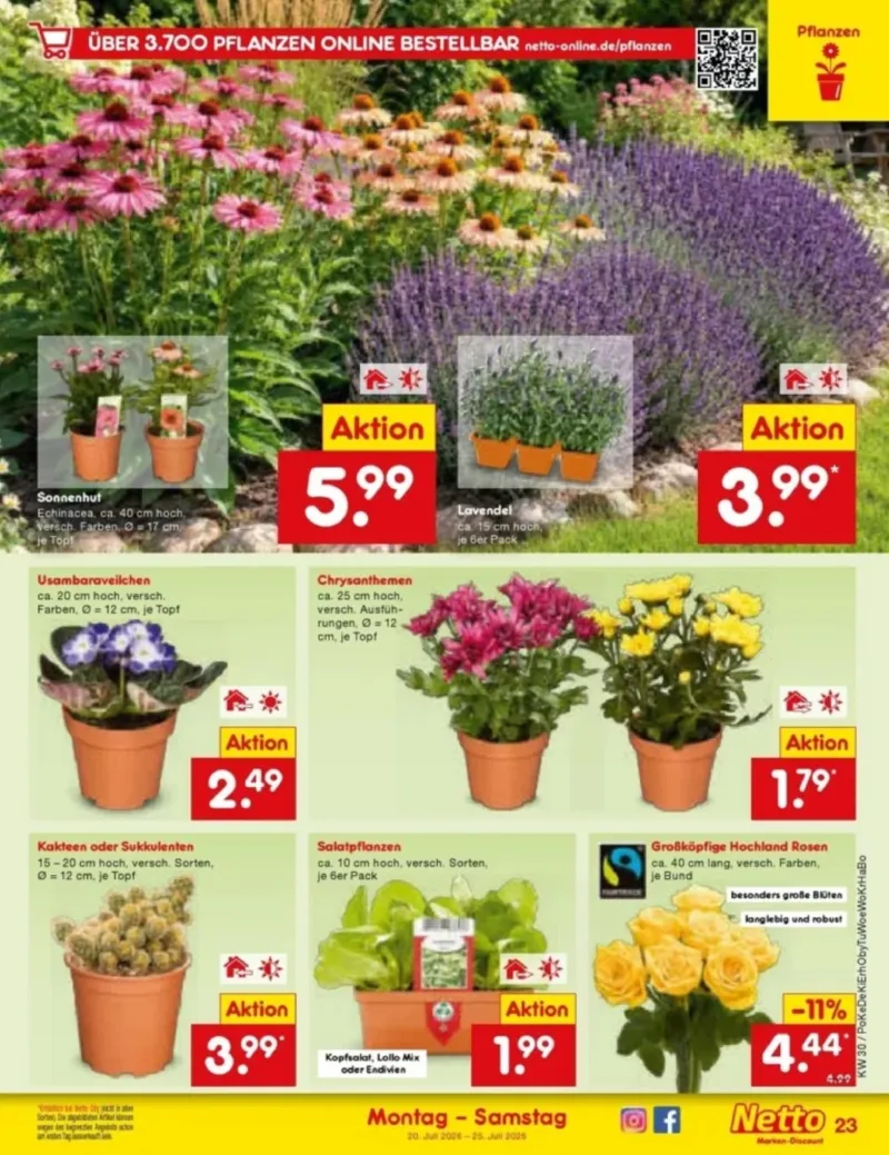 Netto Marken-Discount Prospekt vom 20.07.2026, Seite 39