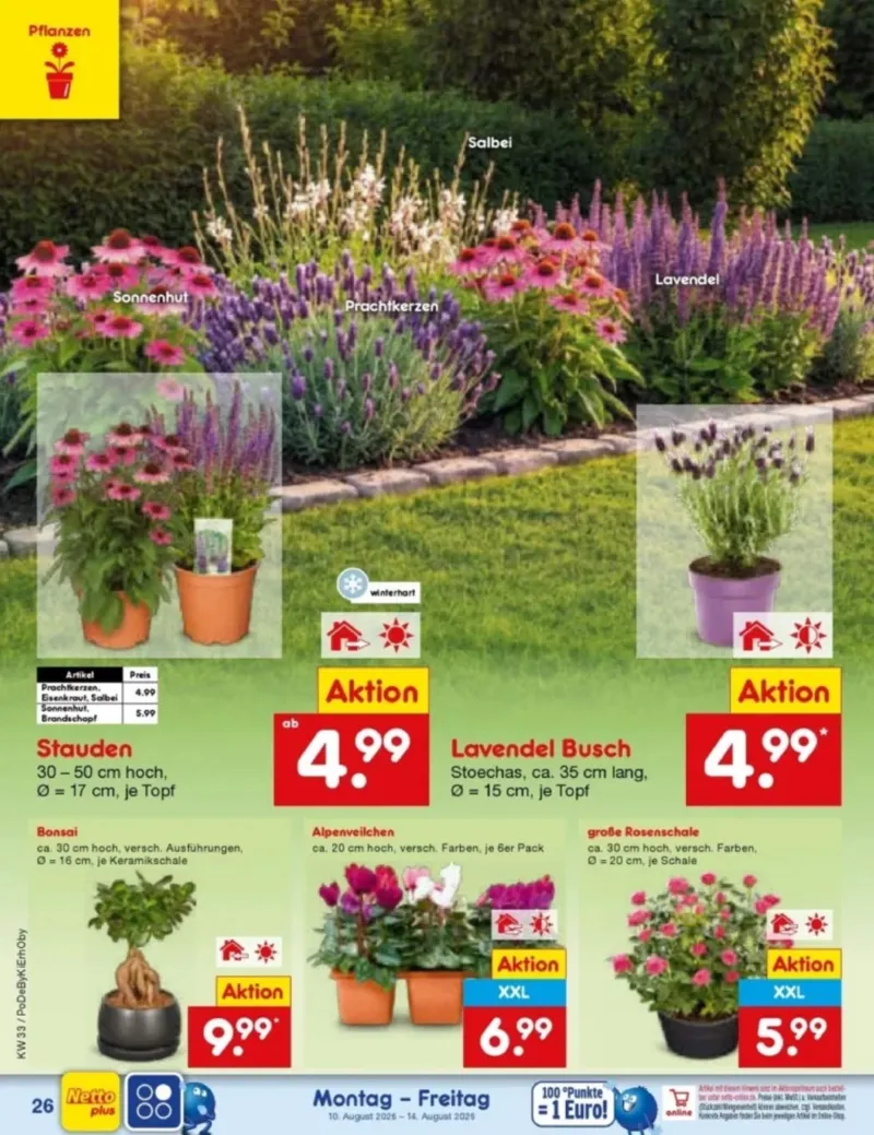 Netto Marken-Discount Prospekt vom 10.08.2026, Seite 38