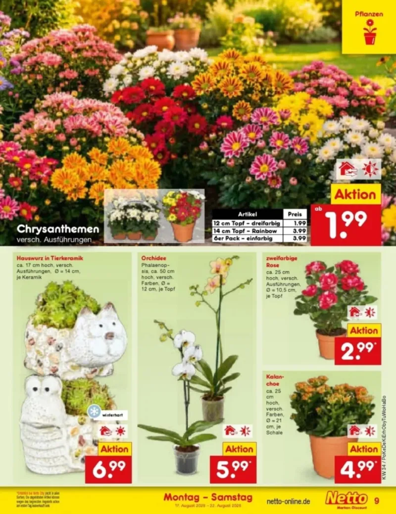 Netto Marken-Discount Prospekt vom 17.08.2026, Seite 11