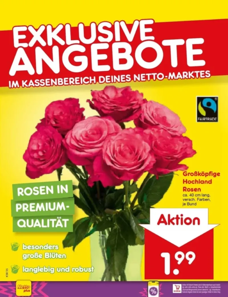 Netto Marken-Discount Prospekt vom 24.08.2026, Seite 12