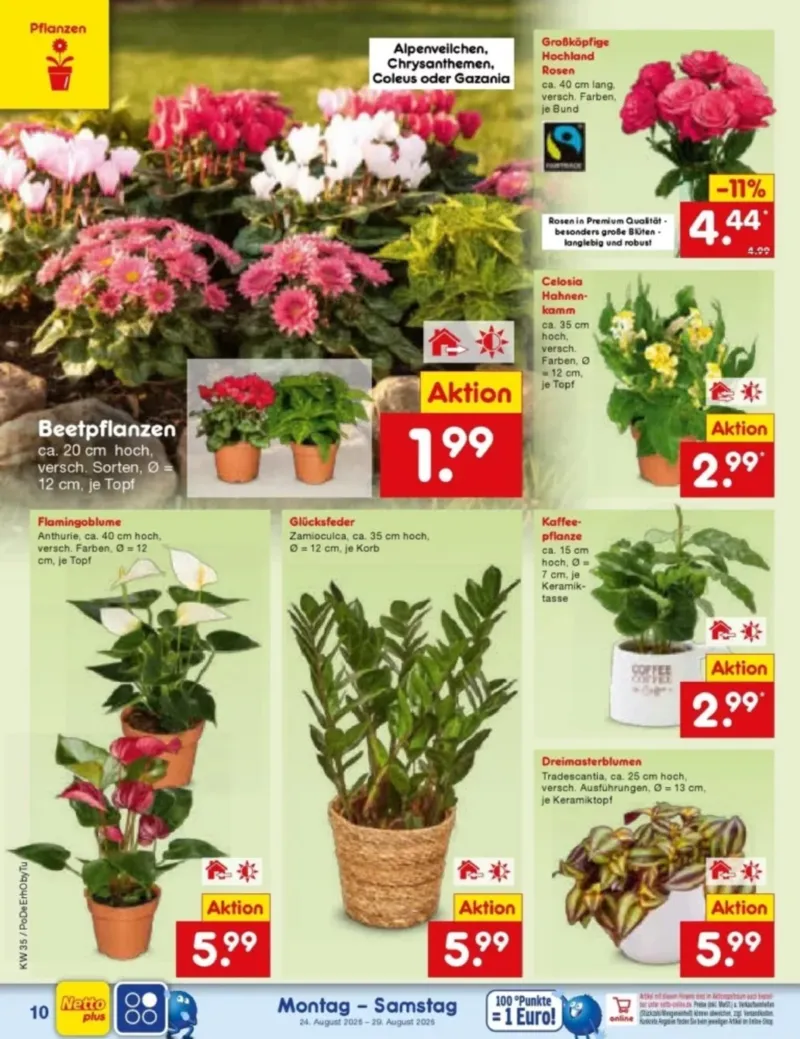 Netto Marken-Discount Prospekt vom 24.08.2026, Seite 14